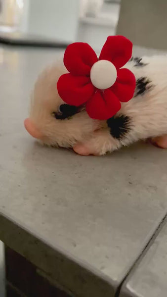 Silicone Pig Festive Headbow, Silicone Animal Flower Headbow  ANIMAL NOT INCLUDED.