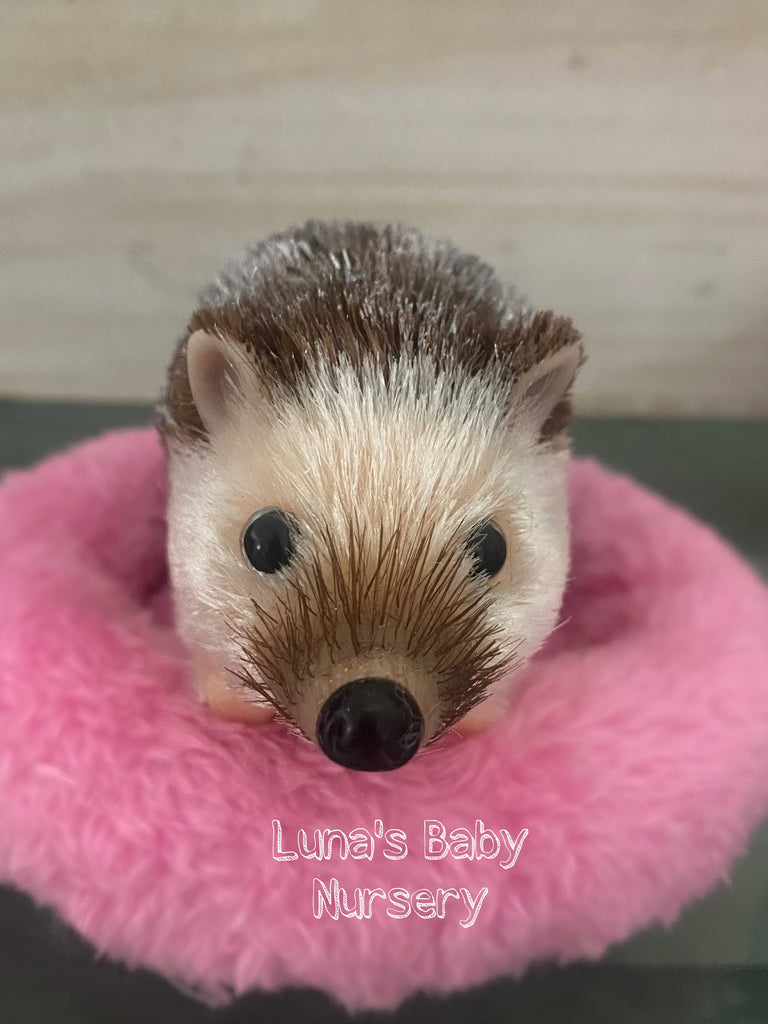 Teacup Silicone Hedgehog Adoption Gift Set, Reborn Brown Hair Hedgehog