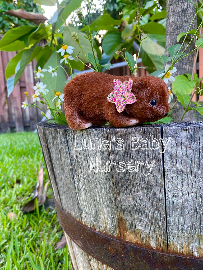 Teacup Silicone Bear Adoption Gift Set, Chocolate Brown Reborn Bear