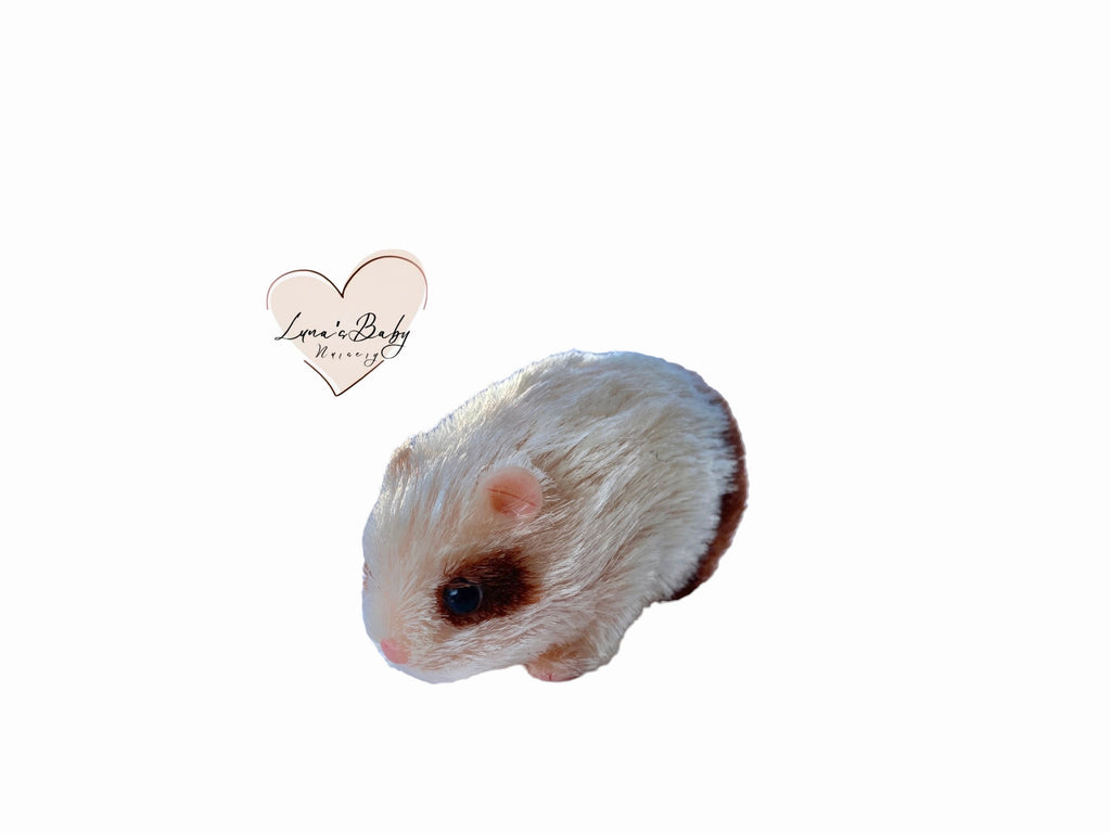 Teacup Hamster Adoption Gift Set, Spotty Eye Reborn Hamster
