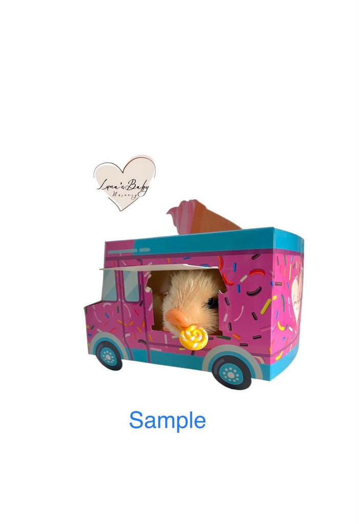 Silicone Pig Ice Cream Truck Gift Set, Teacup Piglet Ice Cream Truck Gift Set