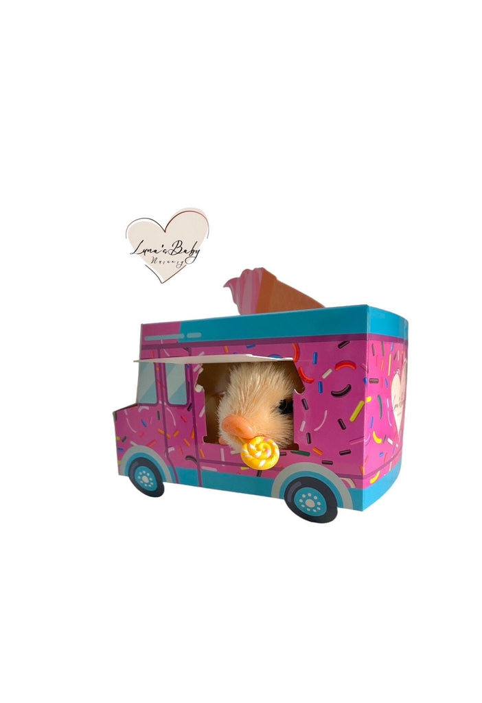 Silicone Pig Ice Cream Truck Gift Set, Teacup Piglet Ice Cream Truck Gift Set