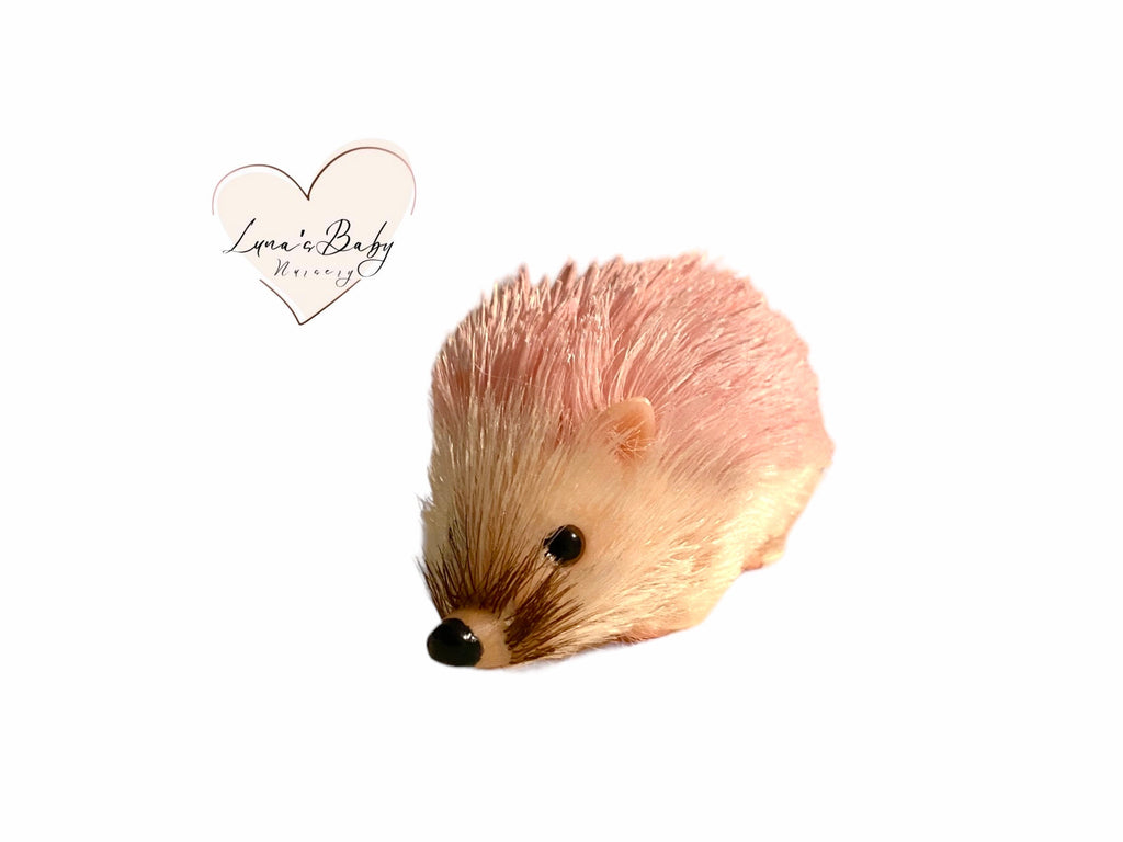 Silicone Hedgehog Adoption Gift Set, Sally Hedgehog