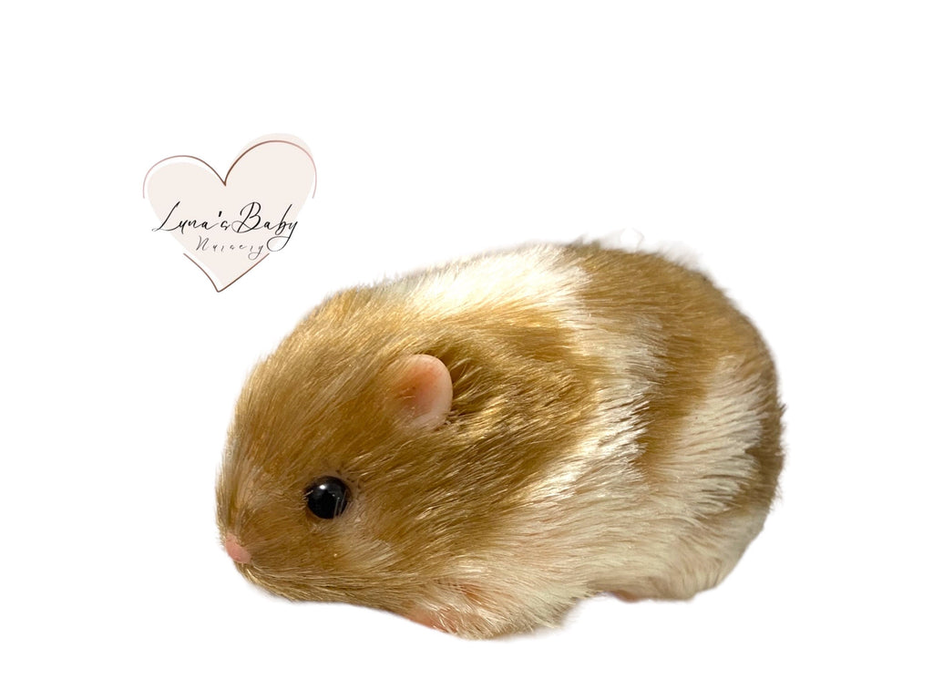 Caramel Silicone Syrian Hamster, Reborn Miniature Collectible Hamster